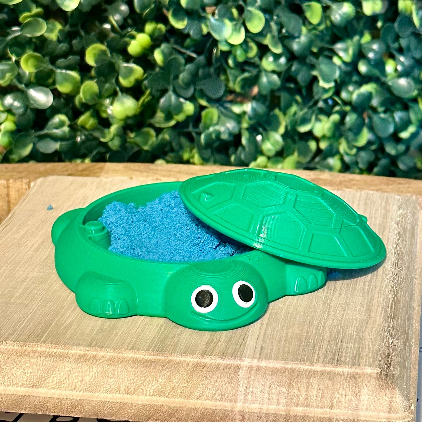 Desk Turtle Sandbox