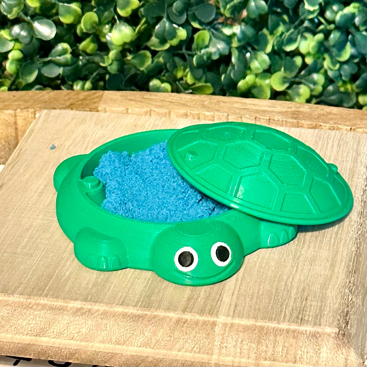 Desk Turtle Sandbox