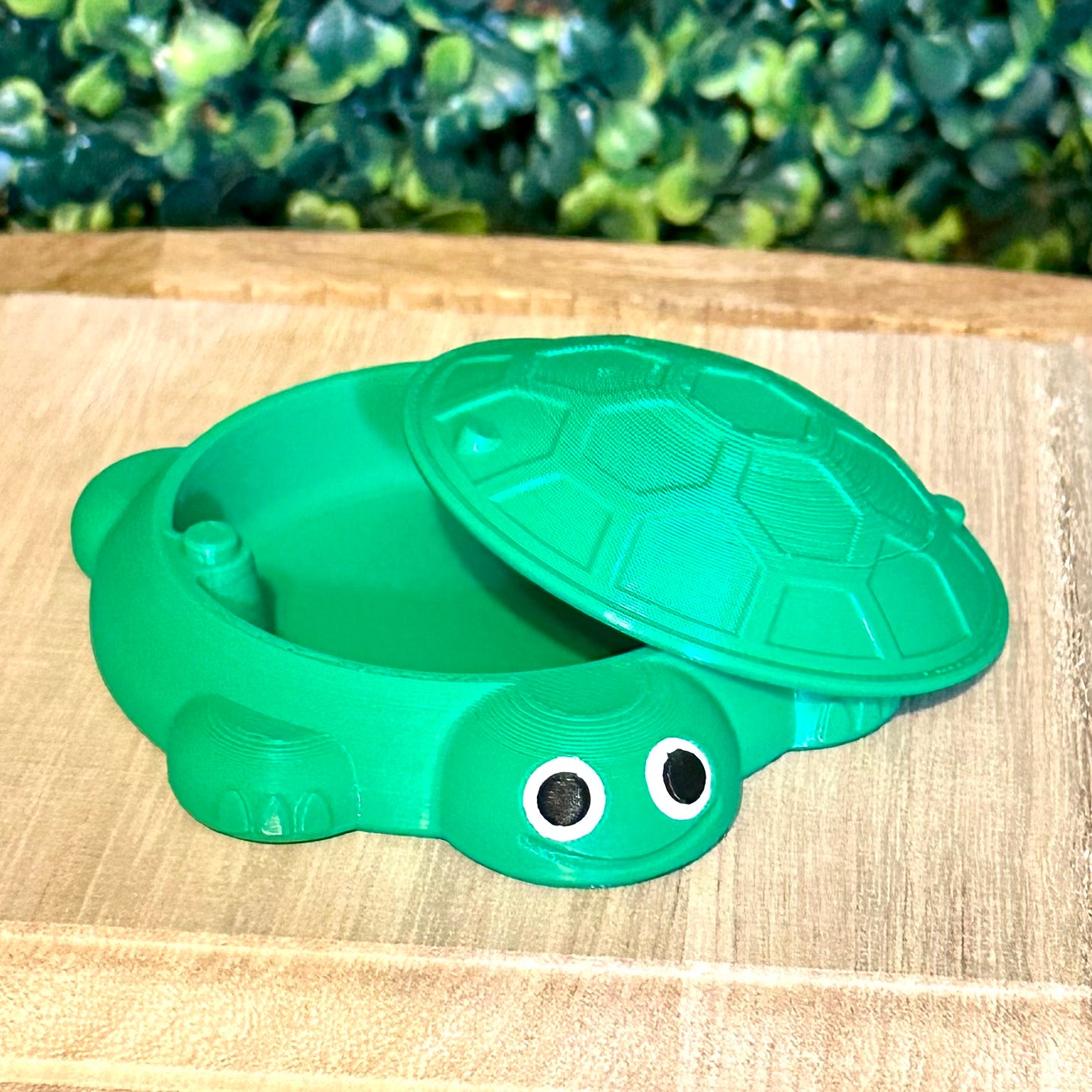 Desk Turtle Sandbox