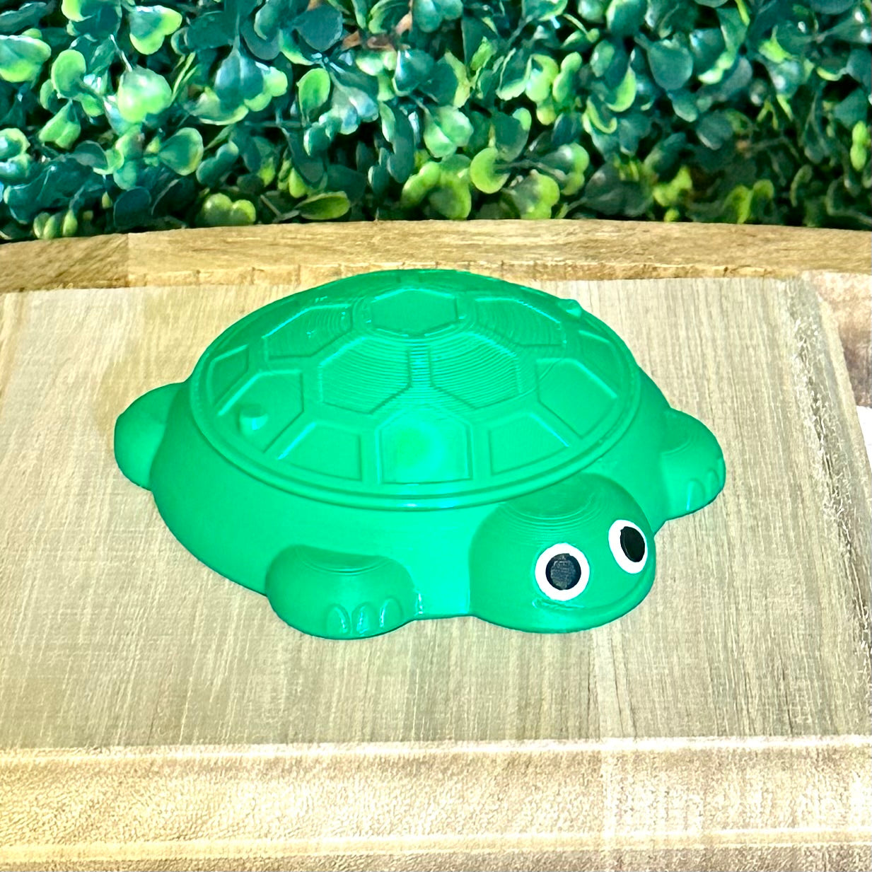 Desk Turtle Sandbox
