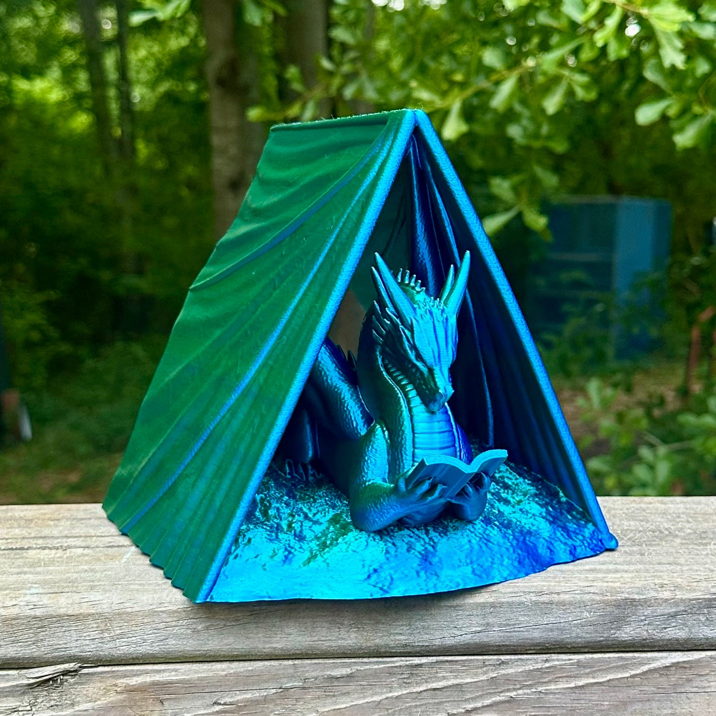 Reading Dragon Book Holder