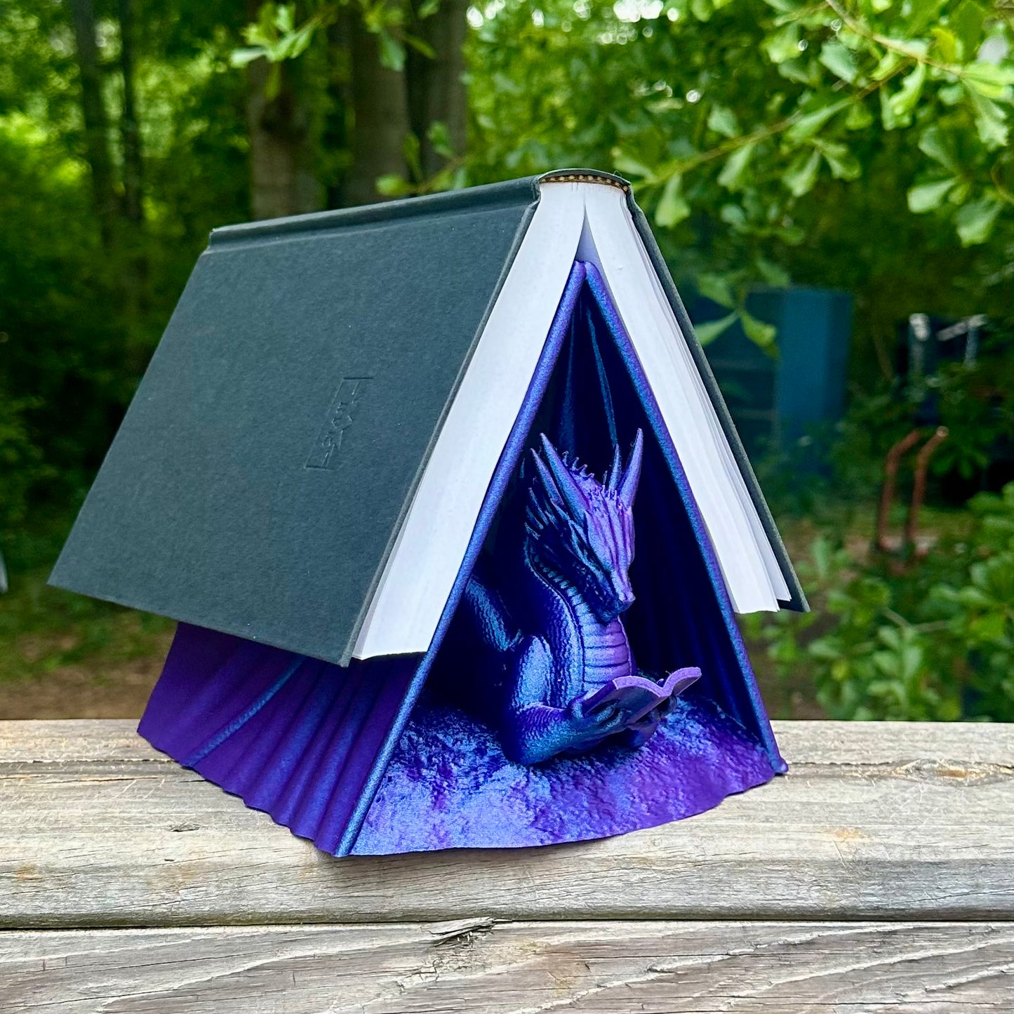 Reading Dragon Book Holder