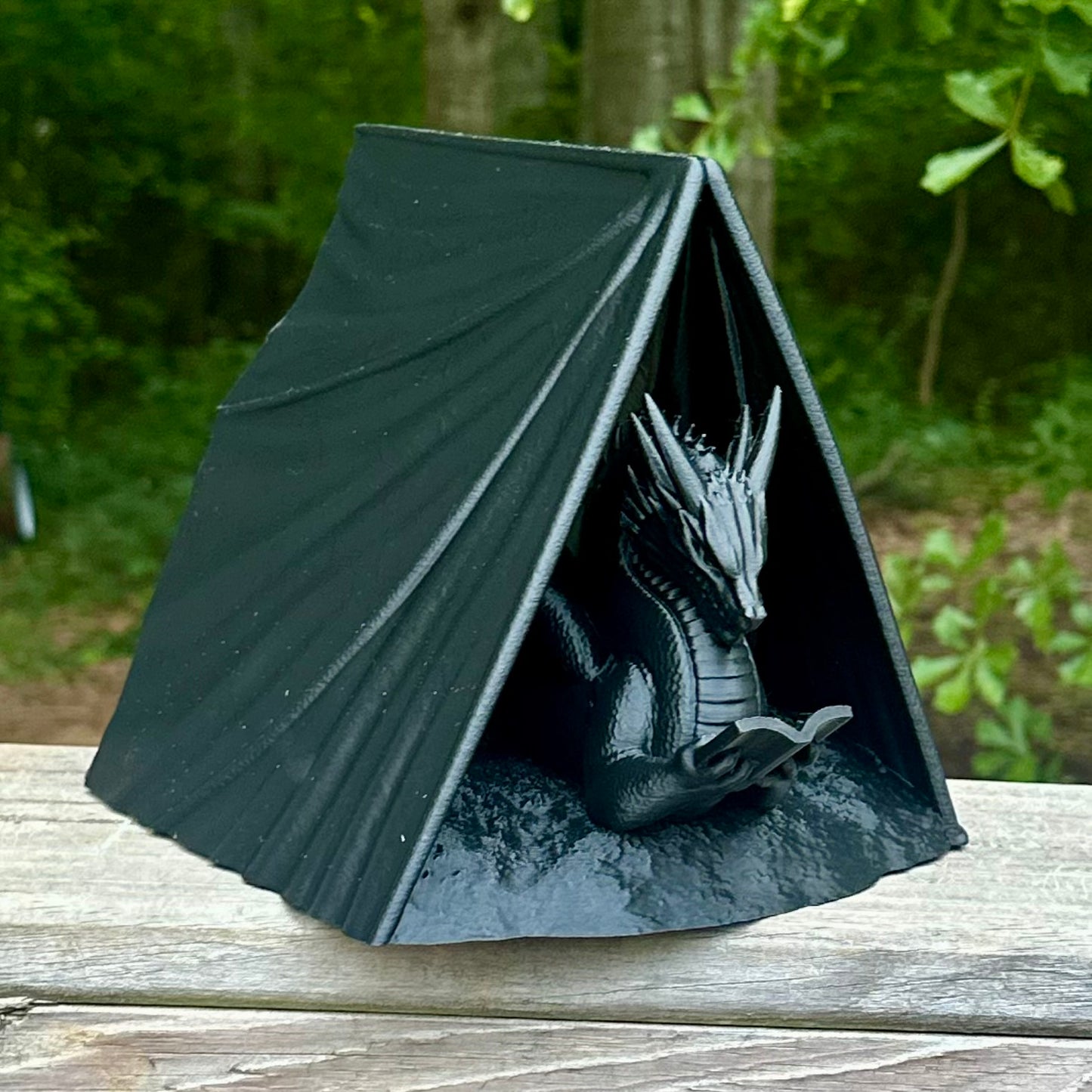Reading Dragon Book Holder