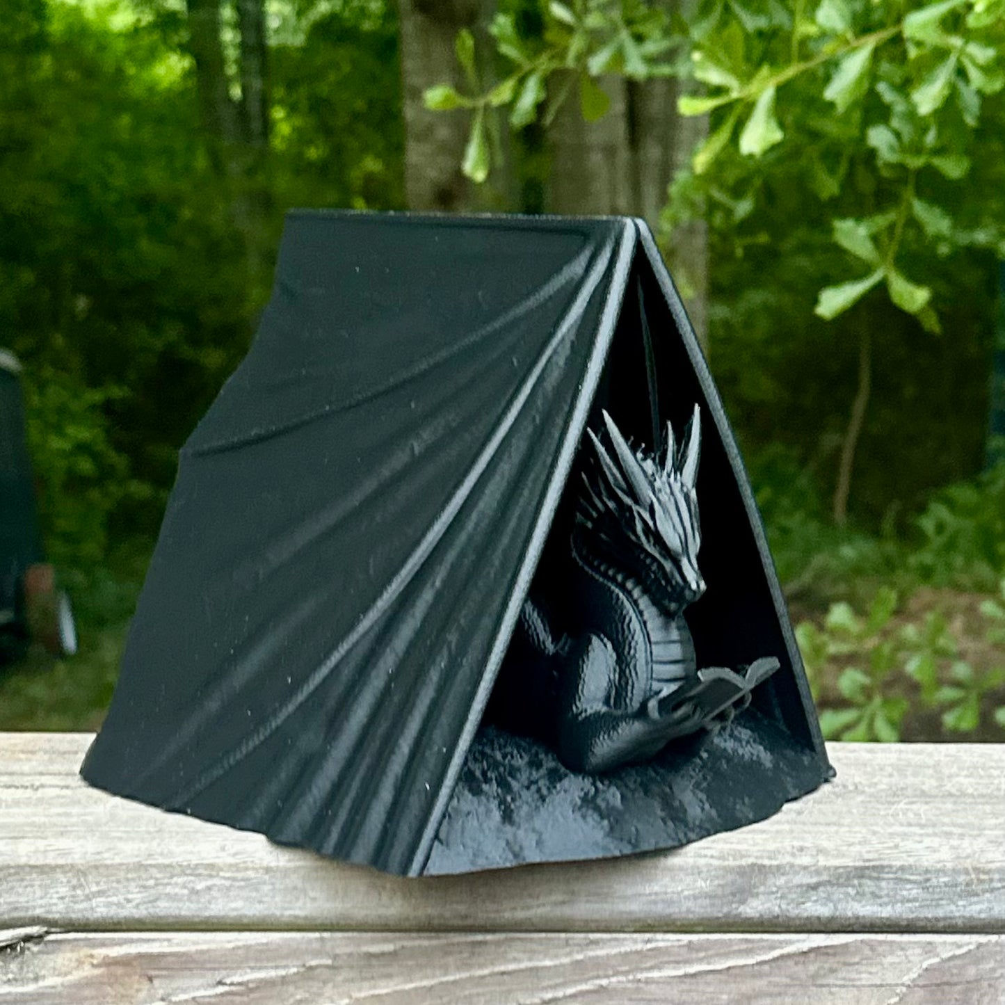 Reading Dragon Book Holder