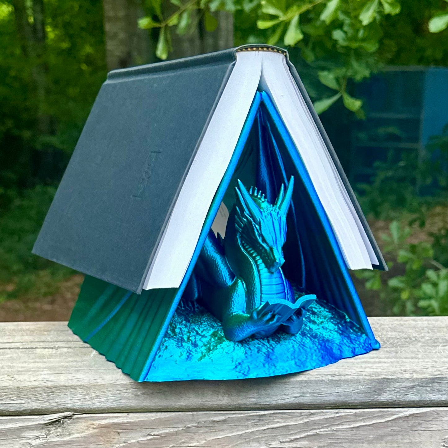 Reading Dragon Book Holder