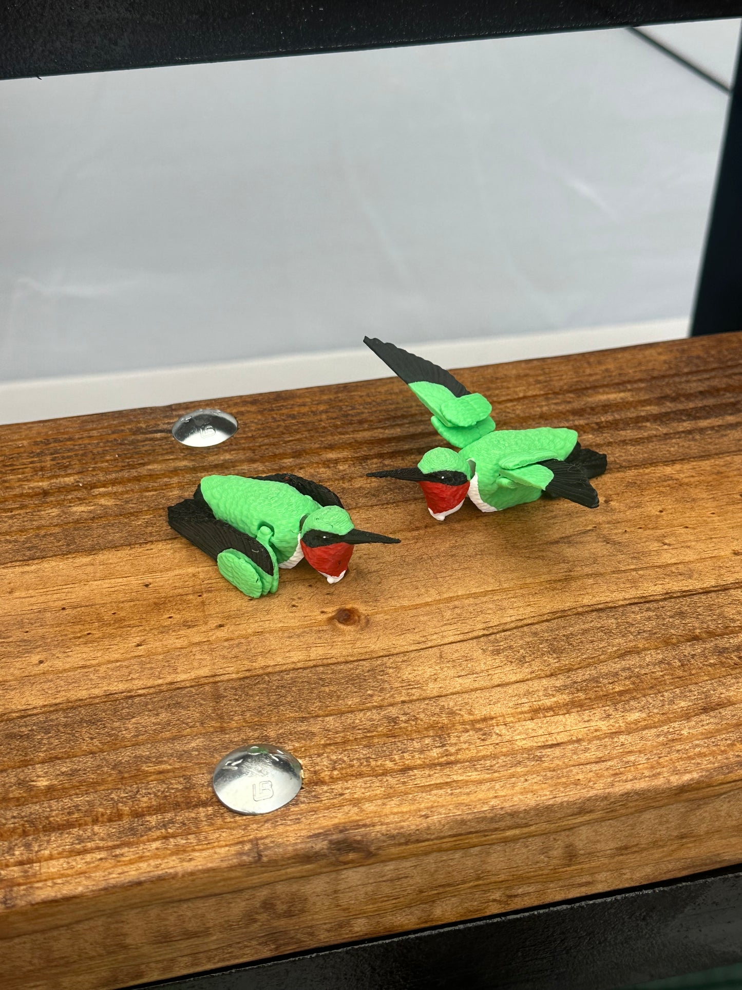 Realistic Hummingbird
