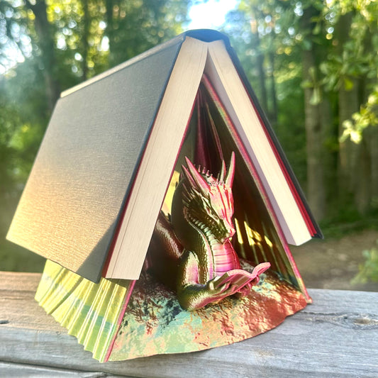 Reading Dragon Book Holder