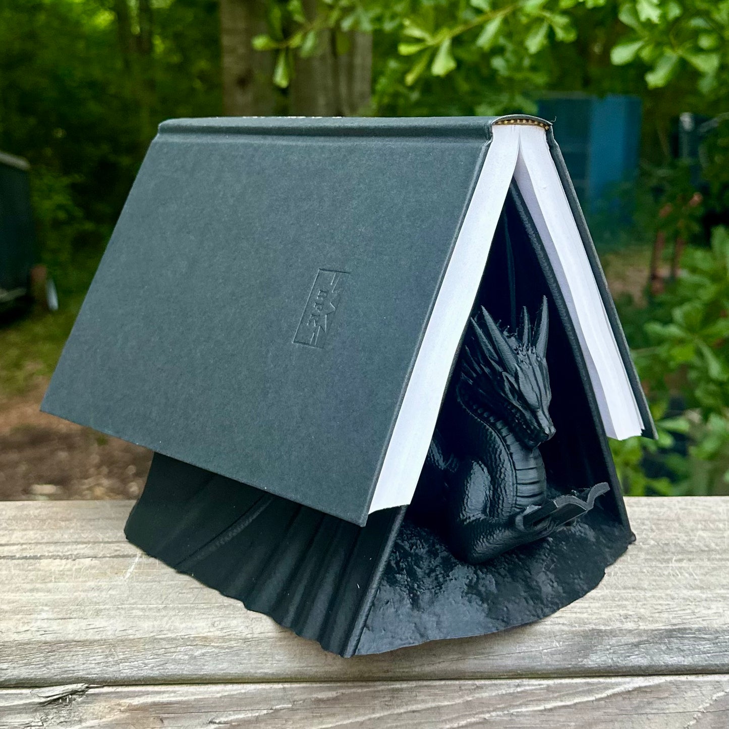 Reading Dragon Book Holder