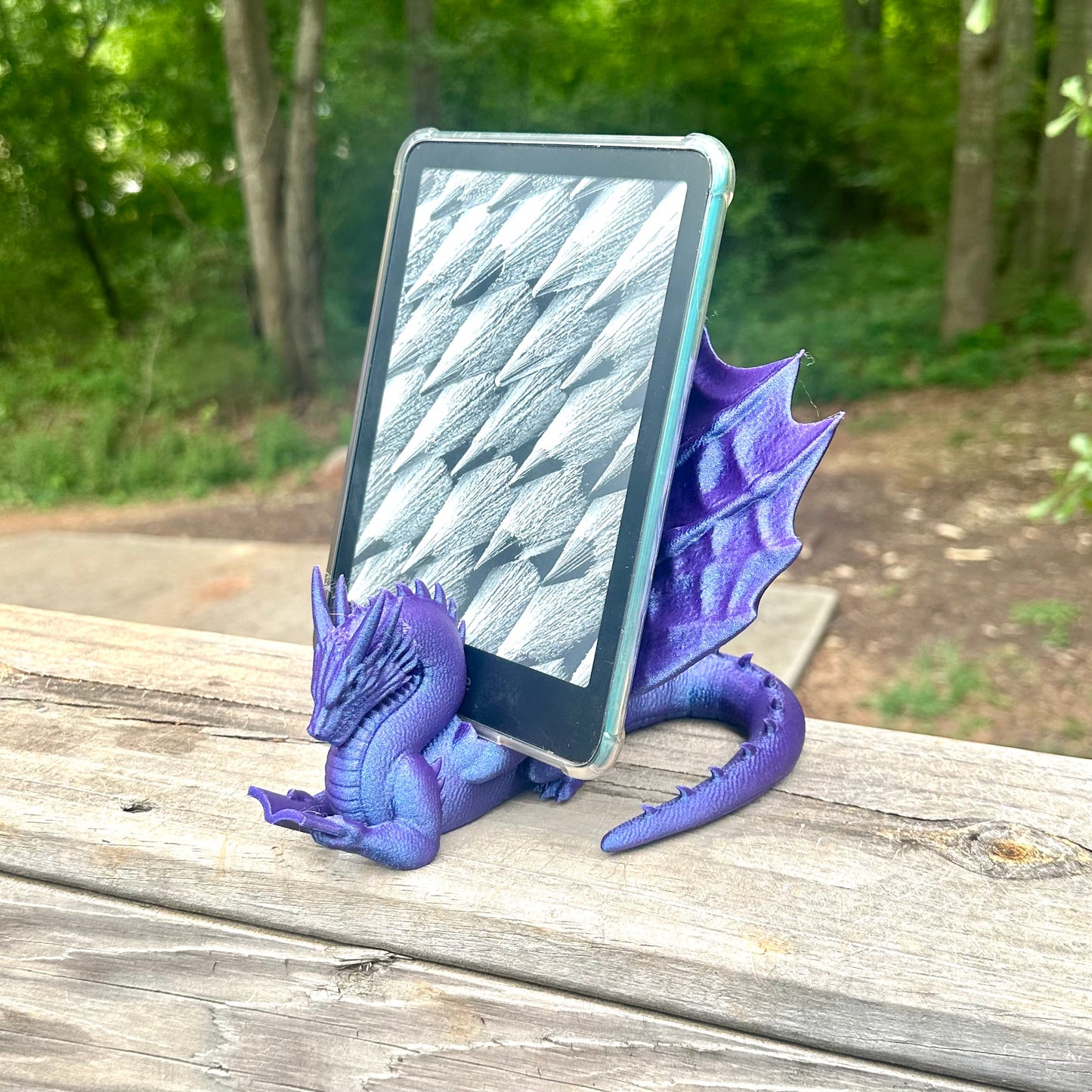 Reading Dragon E-Book Holder