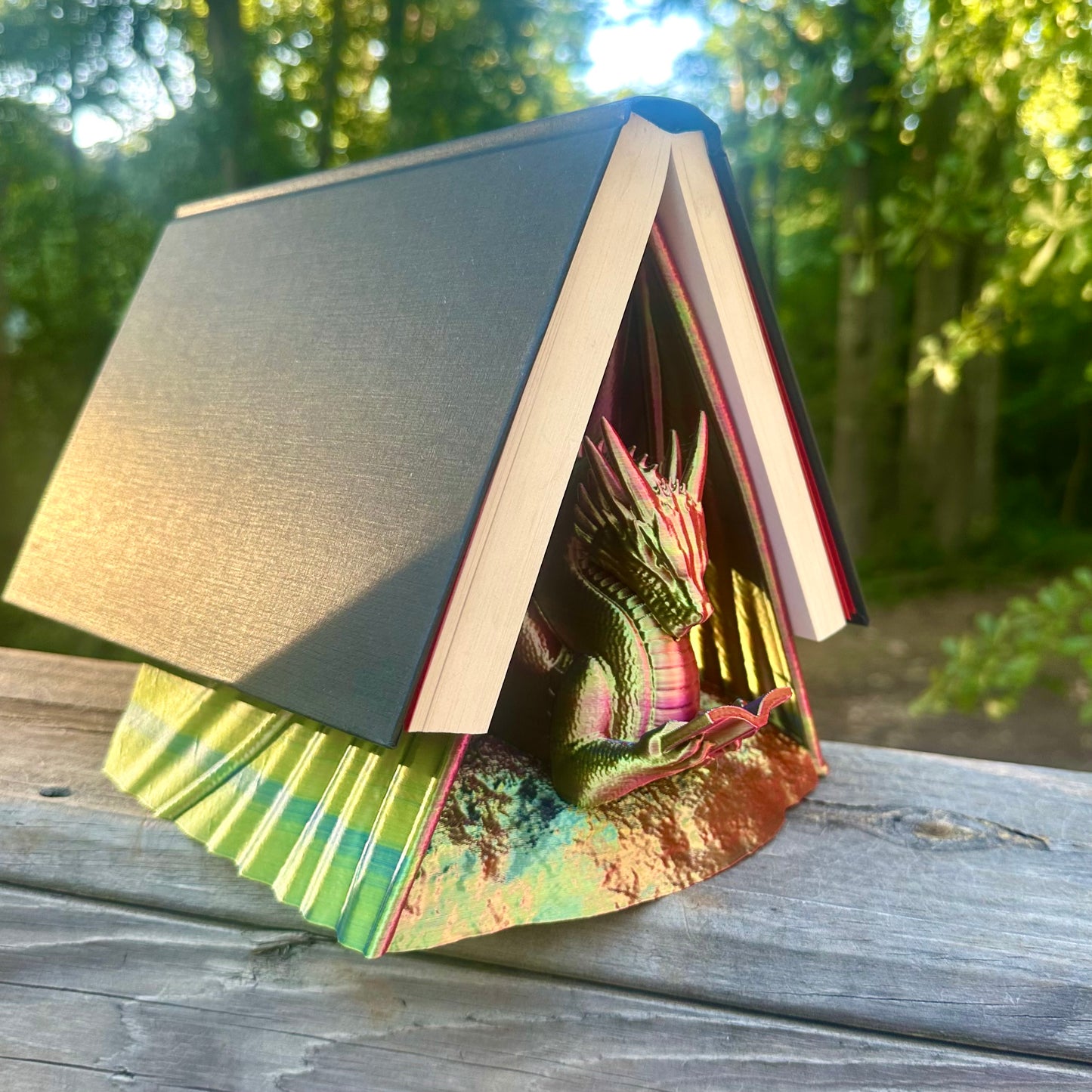 Reading Dragon Book Holder