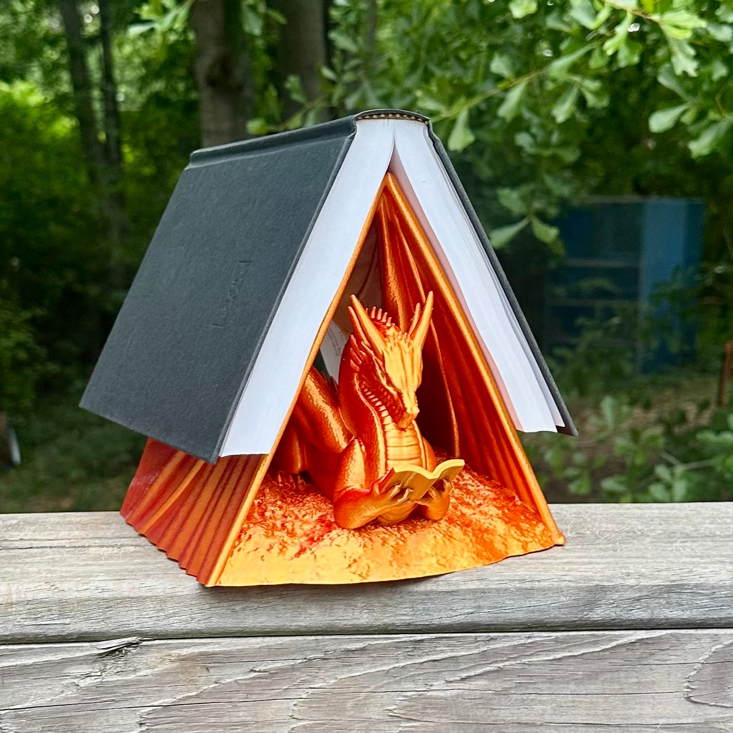 Reading Dragon Book Holder
