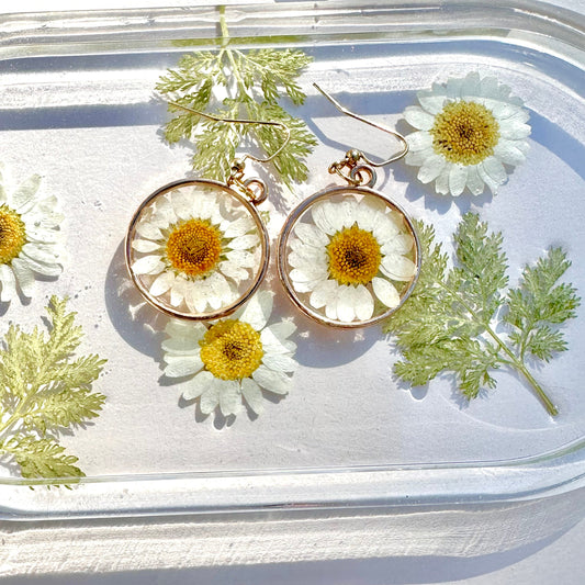 Darling Daisy Earrings